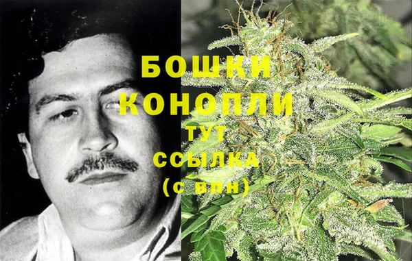 дмт Новокубанск