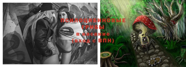 кристаллы Новозыбков